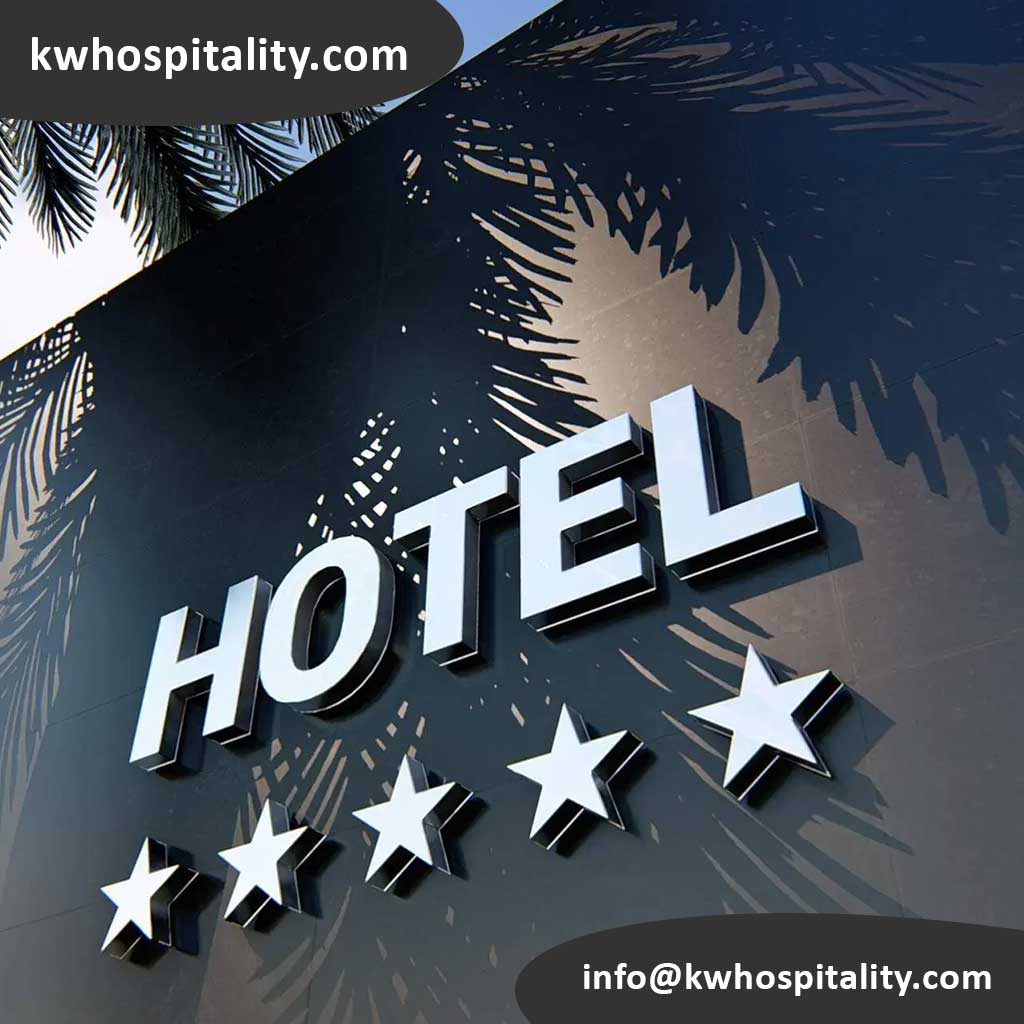 Branding, Customization, and Sustainable Alternatives — Turning Supplies into Signature Experiences